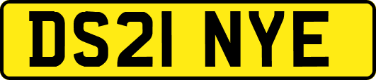 DS21NYE