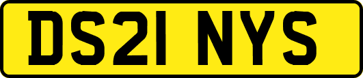 DS21NYS