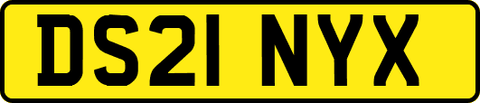 DS21NYX