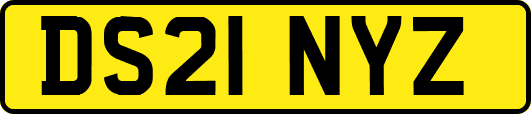 DS21NYZ