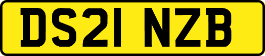 DS21NZB