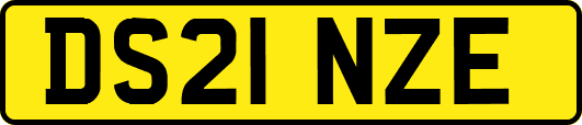 DS21NZE
