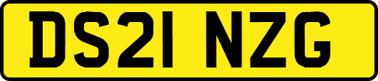 DS21NZG