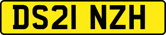 DS21NZH