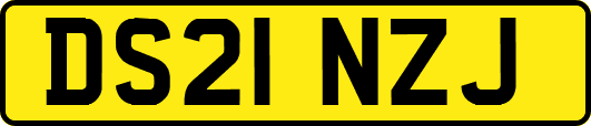 DS21NZJ