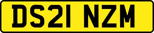 DS21NZM