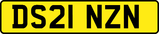 DS21NZN