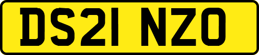 DS21NZO
