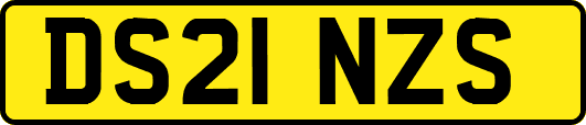 DS21NZS