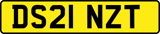 DS21NZT