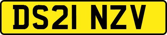 DS21NZV