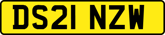 DS21NZW