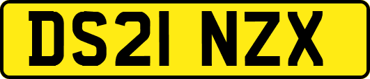 DS21NZX