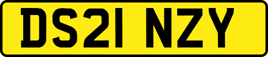 DS21NZY
