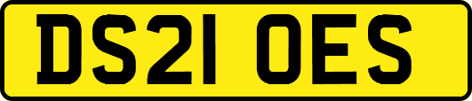 DS21OES