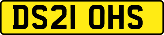 DS21OHS