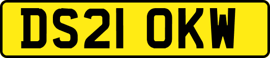 DS21OKW
