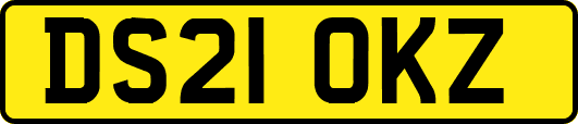DS21OKZ