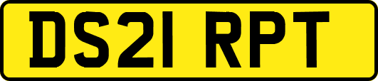 DS21RPT