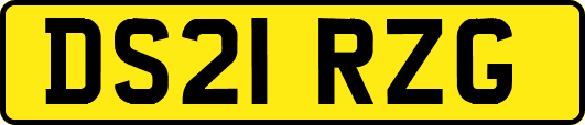 DS21RZG