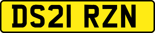DS21RZN
