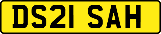 DS21SAH