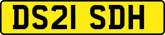 DS21SDH