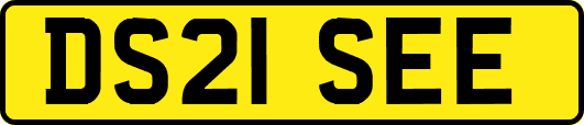 DS21SEE