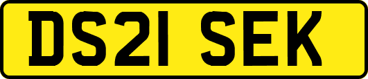 DS21SEK