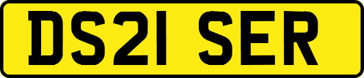 DS21SER