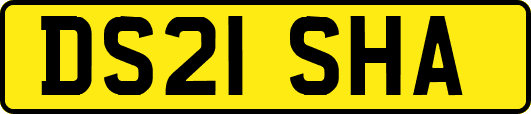 DS21SHA