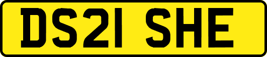 DS21SHE