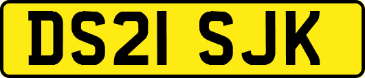 DS21SJK