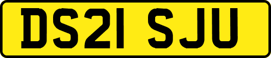DS21SJU