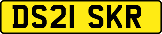 DS21SKR