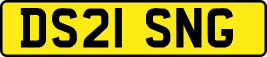 DS21SNG