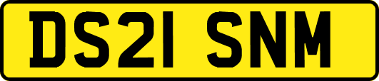 DS21SNM