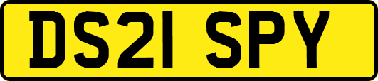 DS21SPY
