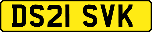 DS21SVK