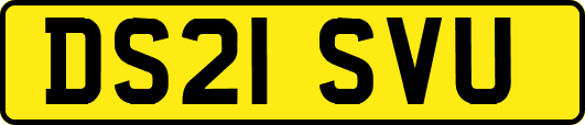 DS21SVU