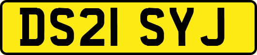 DS21SYJ