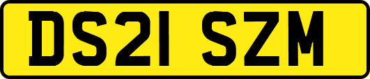 DS21SZM