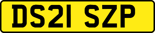 DS21SZP