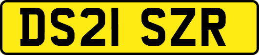 DS21SZR