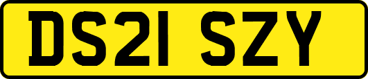 DS21SZY