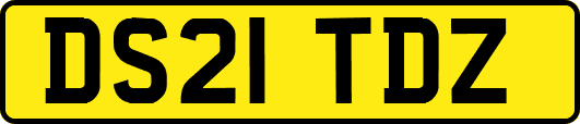 DS21TDZ