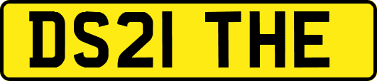 DS21THE