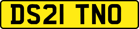 DS21TNO
