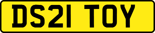 DS21TOY