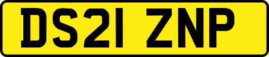 DS21ZNP